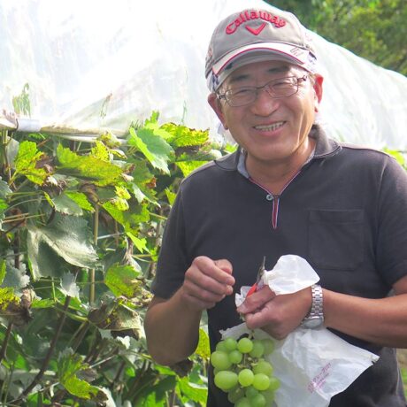 日本一のワインをめざす 齋藤 豊さん（ゆたかぶどう園） | Farmer's